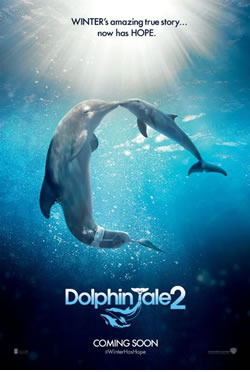 Dolphin Tale 2